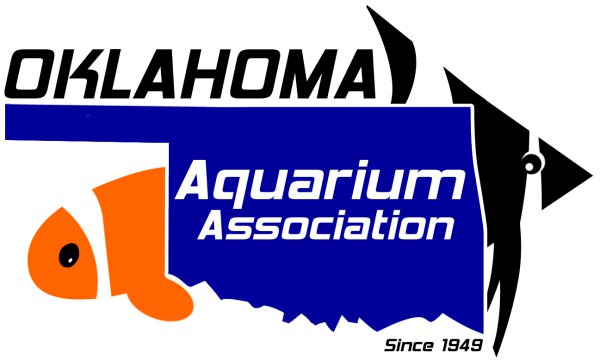 Welcome to the Oklahoma Aquarium Association